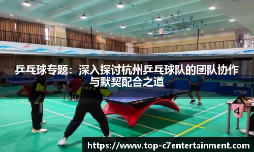 乒乓球专题：深入探讨杭州乒乓球队的团队协作与默契配合之道